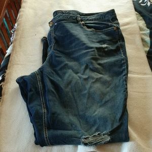 Lane Bryant boot cut jeans